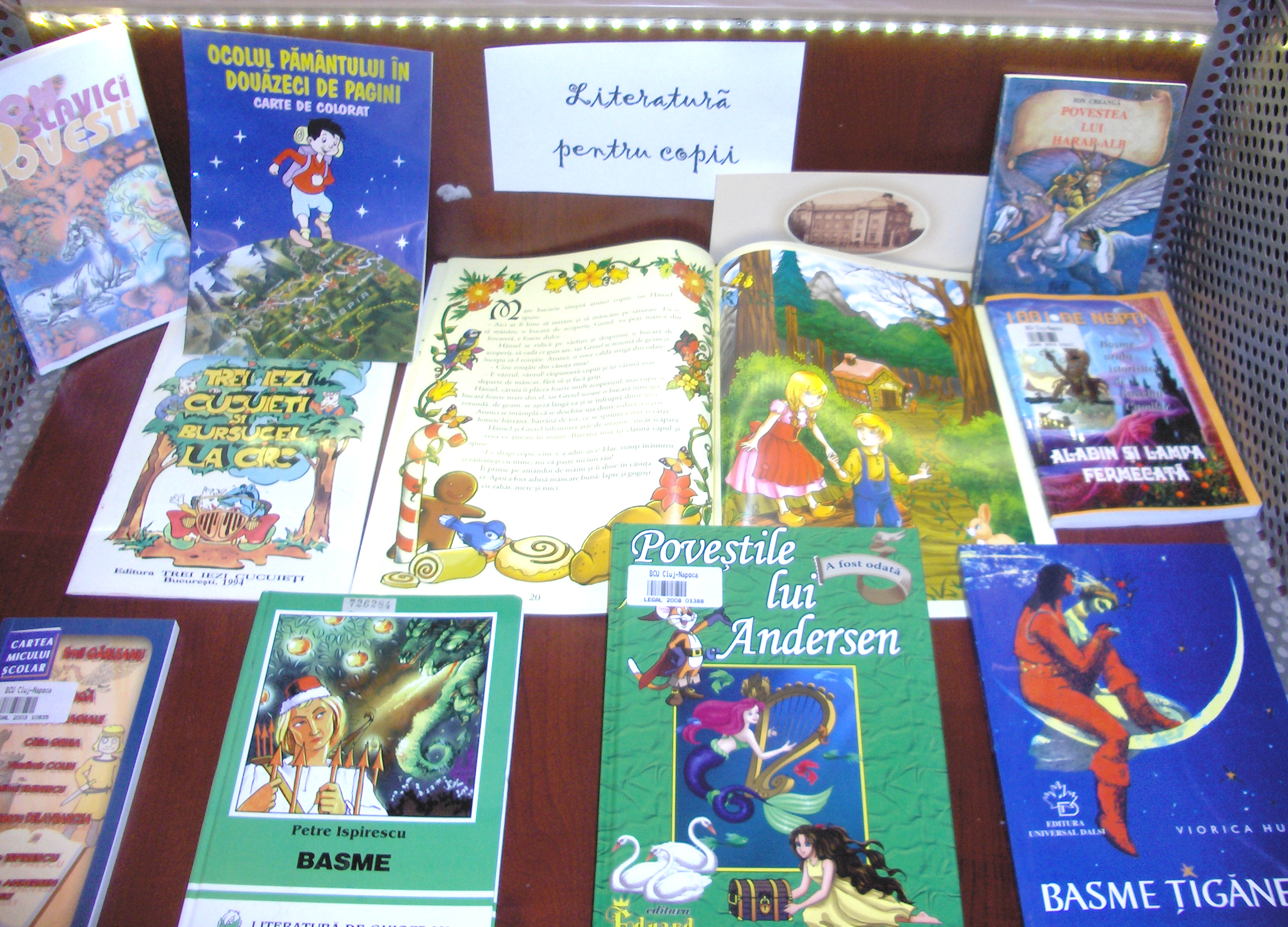 expo_2009_iun2_2.jpg