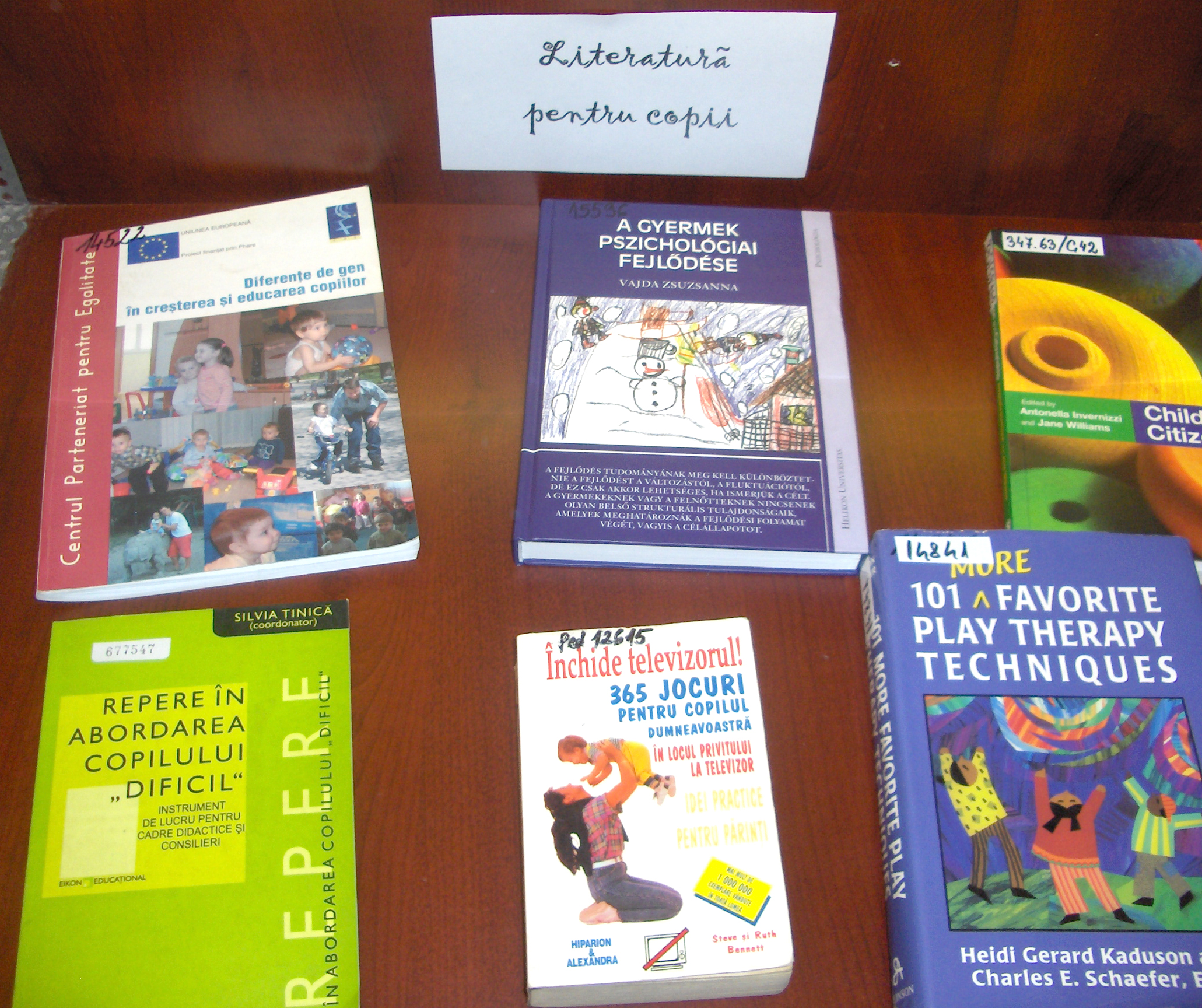 expo_2009_iun2_4.jpg