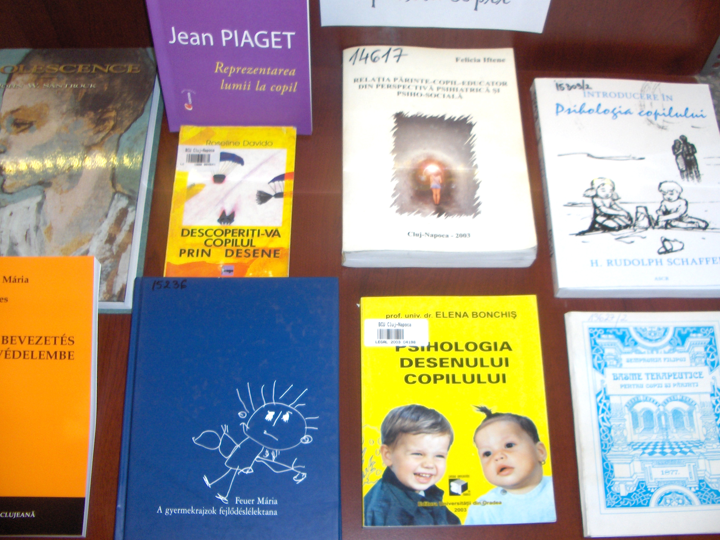 expo_2009_iun2_5.jpg