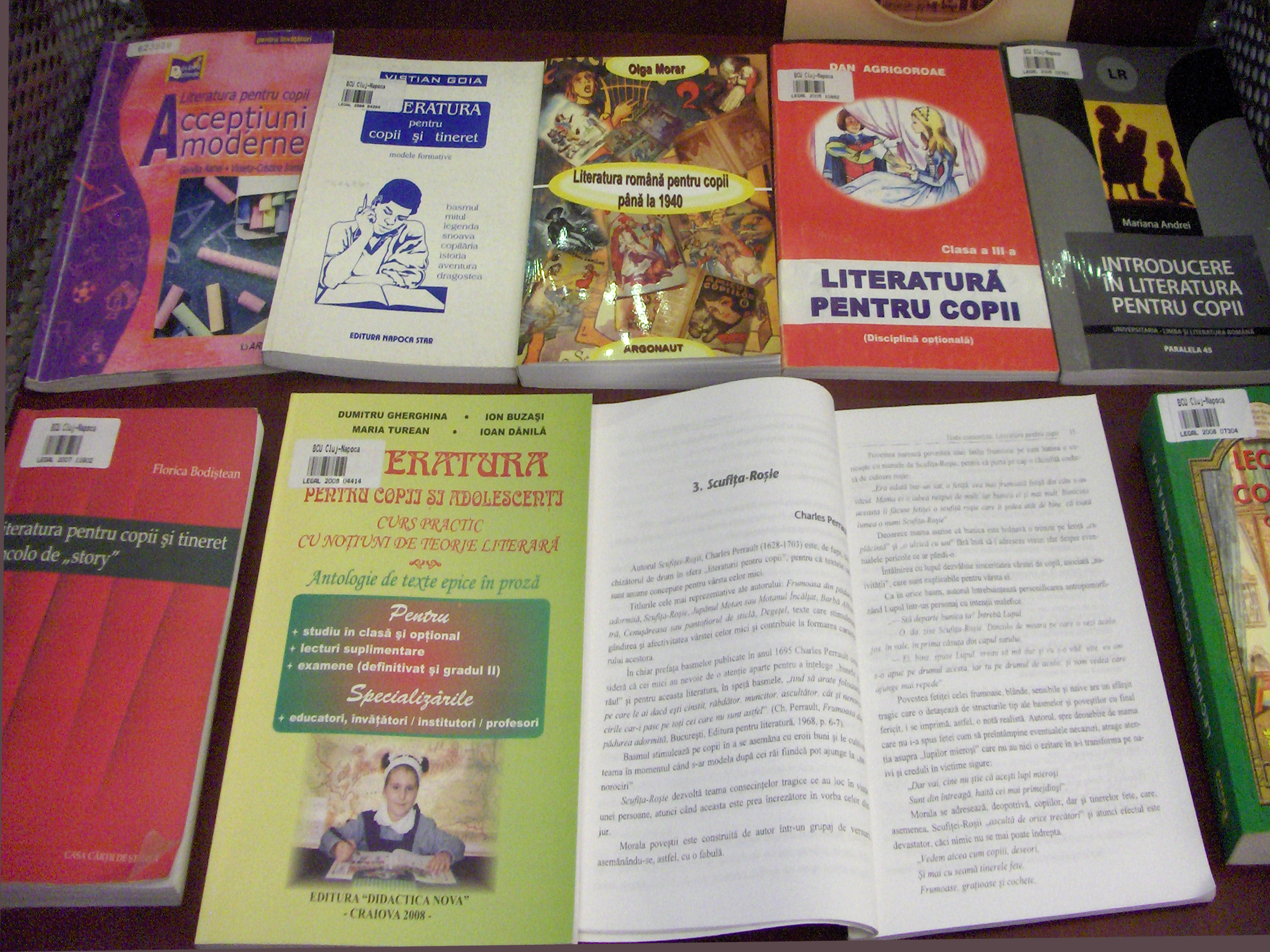 expo_2009_iun2_6.jpg