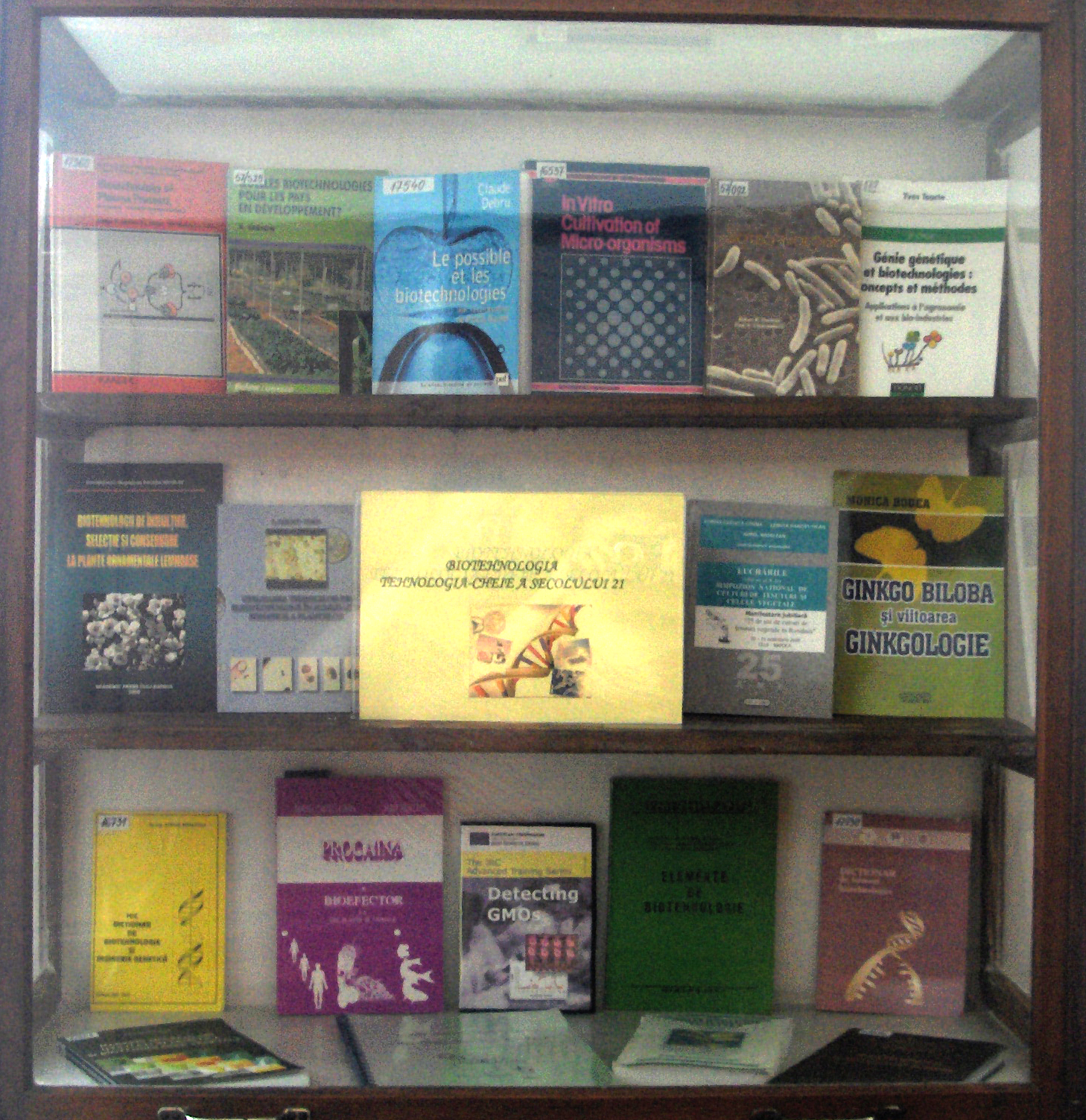 expo_2010_iul2_2.jpg