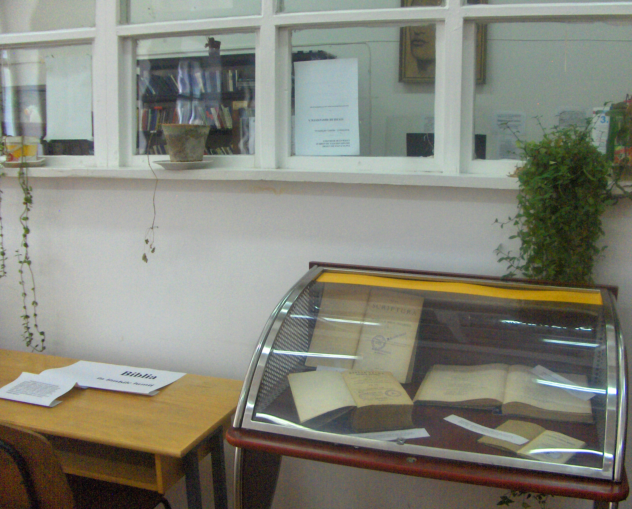 expo_2010_iun6_3.jpg