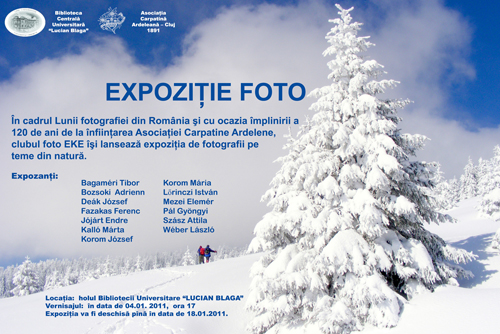 expo_2011_ian1_afis.jpg