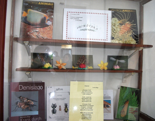 expo_2011_mar1_foto1.jpg